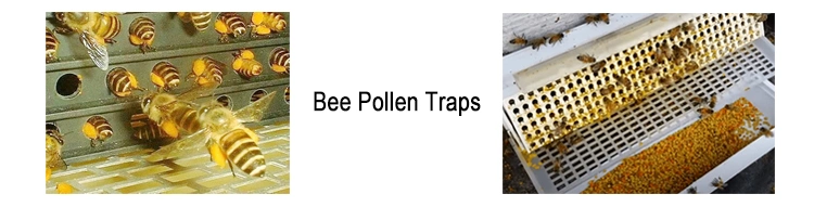 Beehall Organic Food Manufacturer Good Quality Natural Bulk Bee Pollen